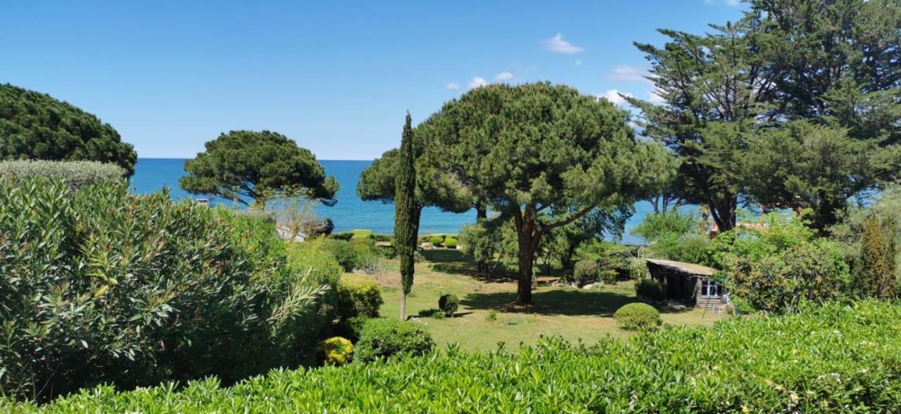 Villa I Merli Nous Contacter Avant Reservation Saint-Florent  Eksteriør billede