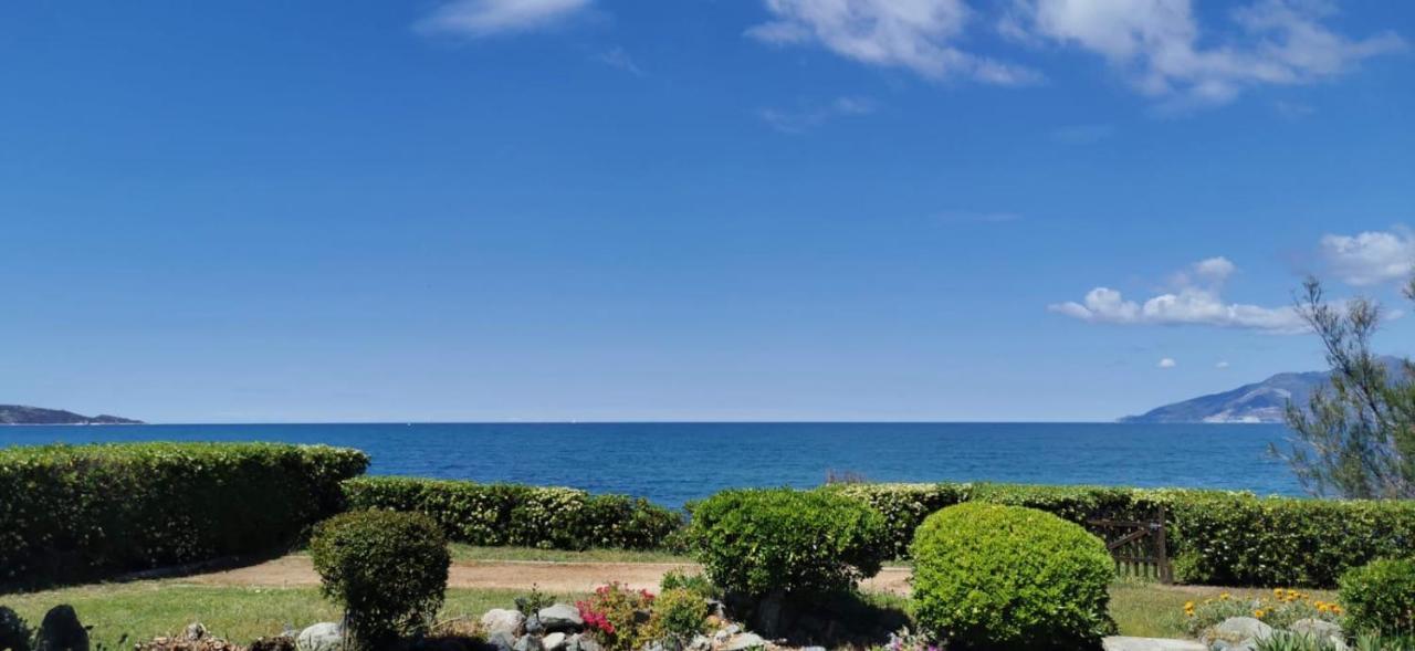 Villa I Merli Nous Contacter Avant Reservation Saint-Florent  Eksteriør billede